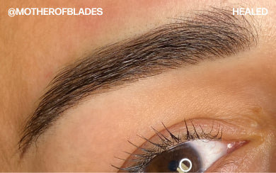 Close-up photo of healed brow PMU showing defined shape, individual hairs, and skin texture.