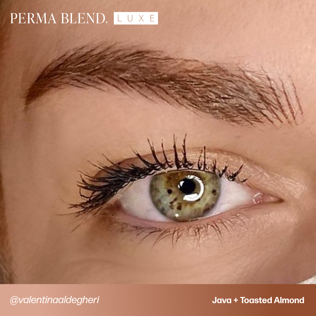 Brow Chicka Wow Wow Brow Set - Perma Blend