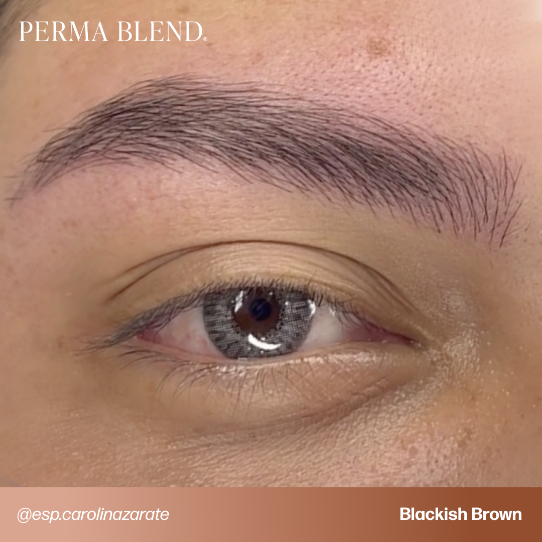 Signature Brow Set - Perma Blend