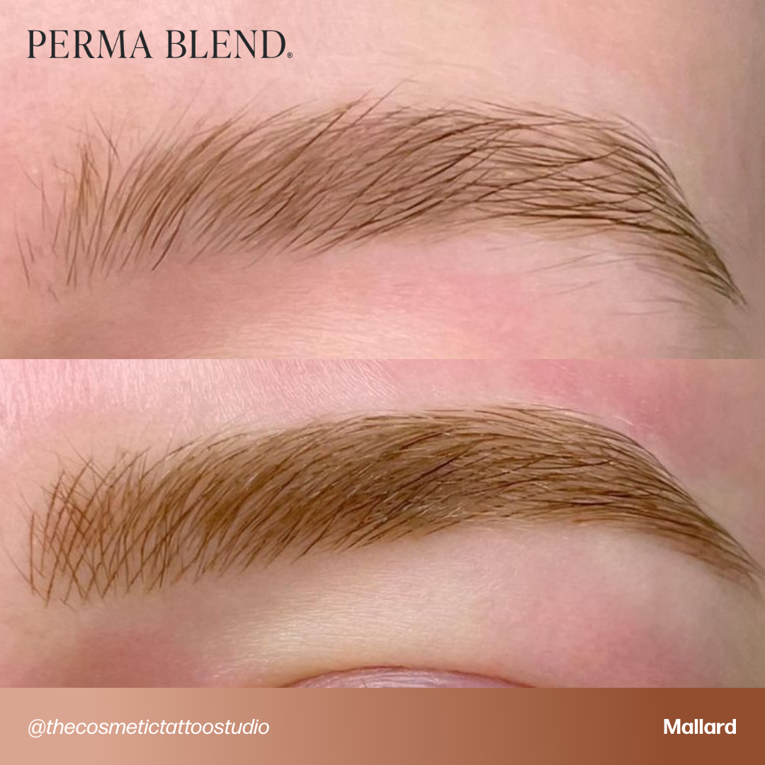 Signature Brow Set - Perma Blend