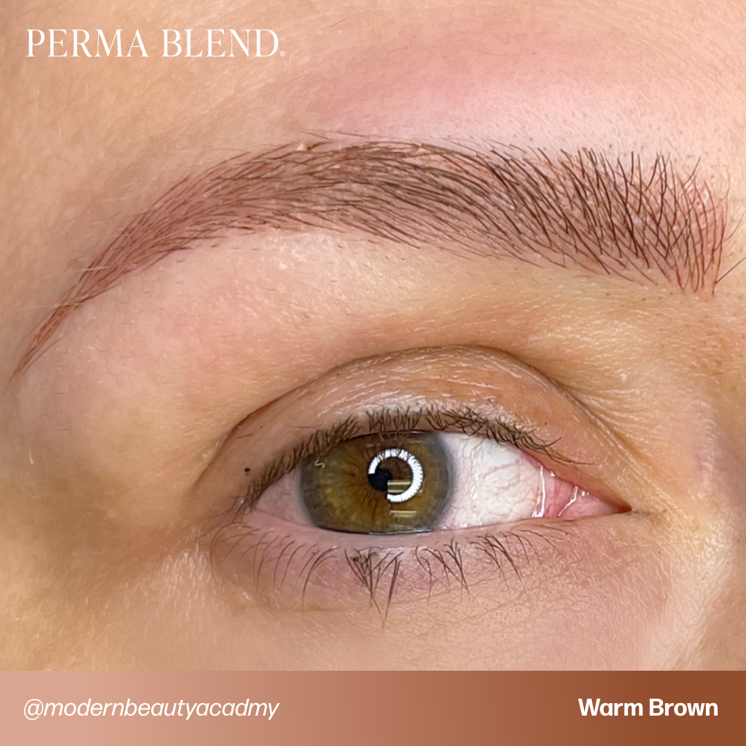 Warm Brown - Perma Blend