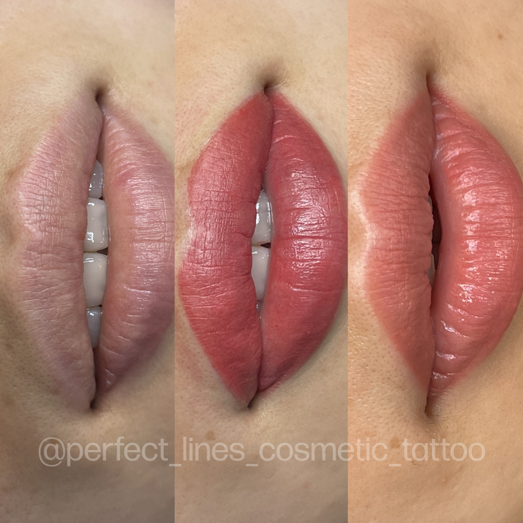 Evenflo Malina - Lip - Perma BlendEvenflo Malina - Lip