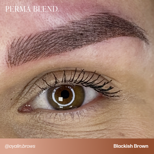 Blackish Brown Perma Blend