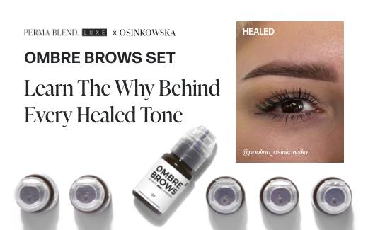 Breaking Down the Perma Blend LUXE x Paulina Osinkowska Ombre Brow Set