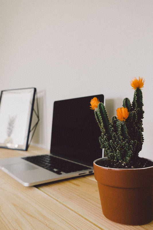5 Tips for Managing Stress During COVID-19