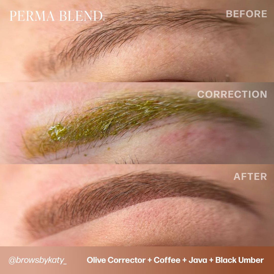Corrector Mini Set | Perma Blend Pigments - Perma Blend