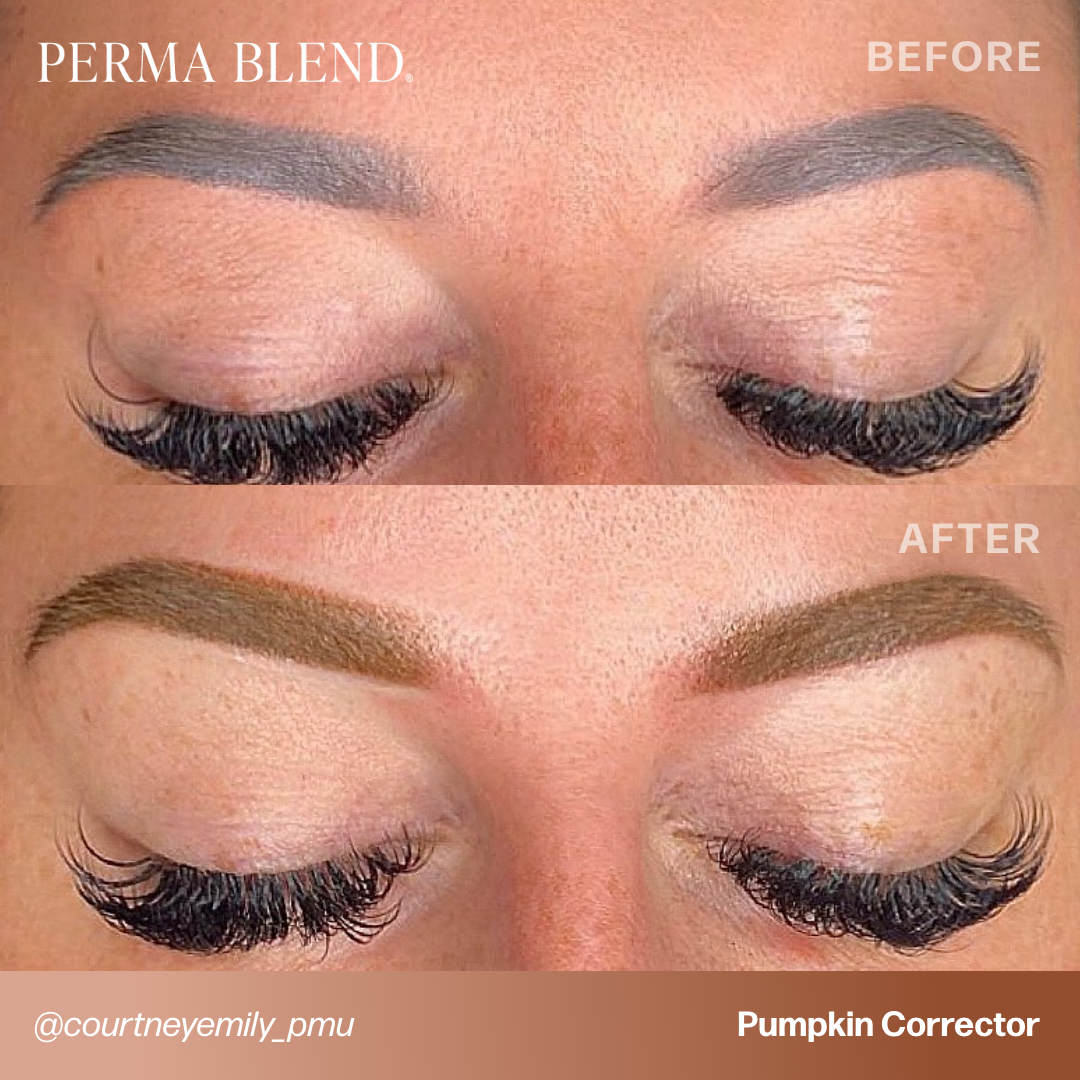 Pumpkin Corrector Perma Blend Pigments Perma Blend