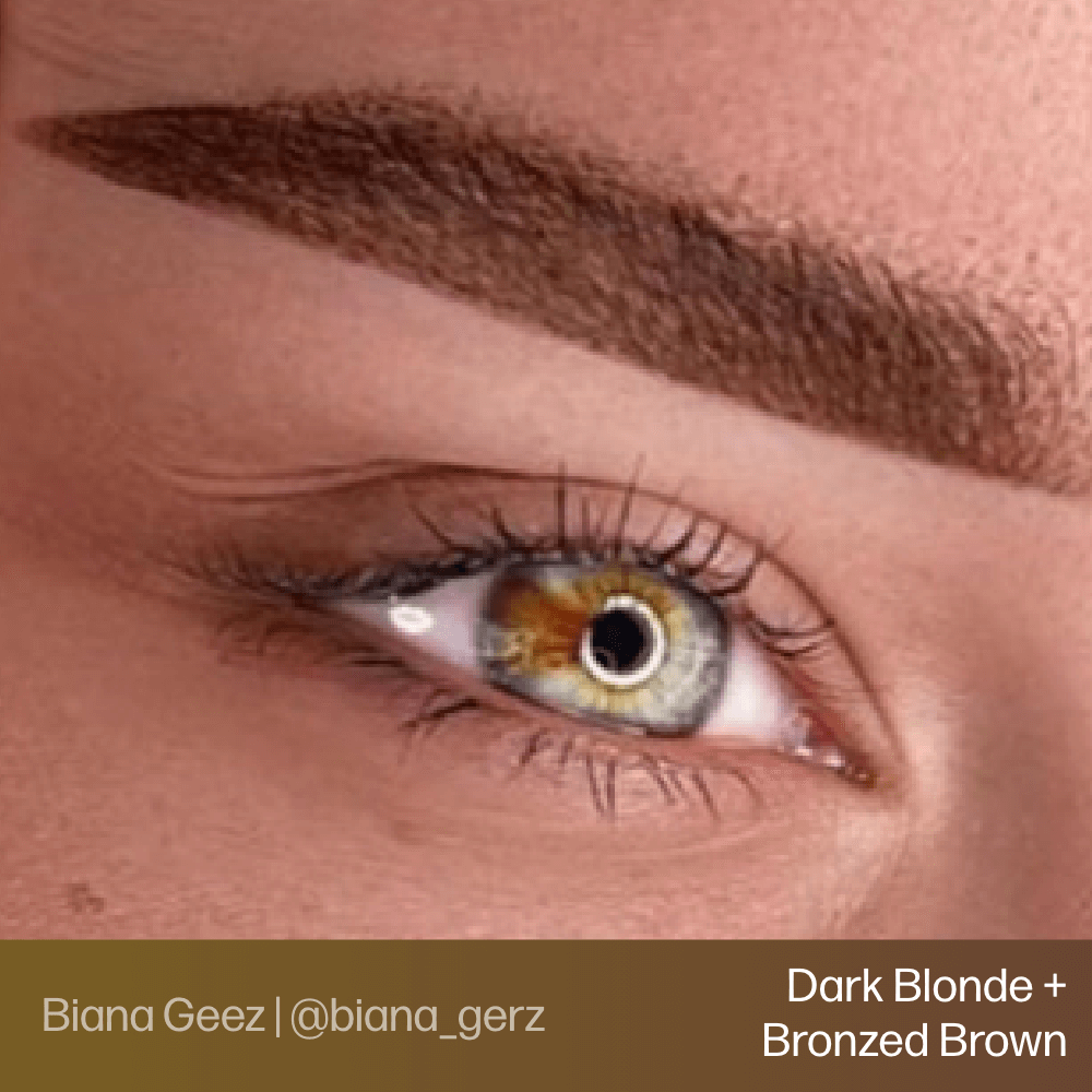 Evenflo Blonde 2 Brunette Singles Bronzed Brown