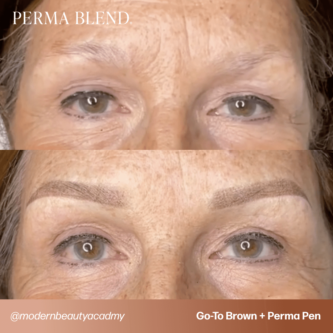 Classic Brow + Perma Pen Training Kit | Perma Blend Pigments - Perma Blend