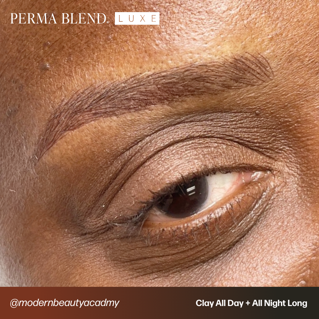 LUXE All Night Long - Microblading Pro Set - Perma Blend