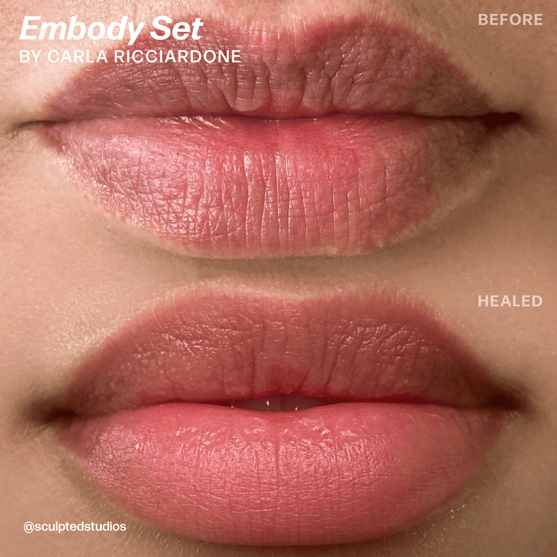 LUXE Embody Set by Sculpted – Carla Ricciardone