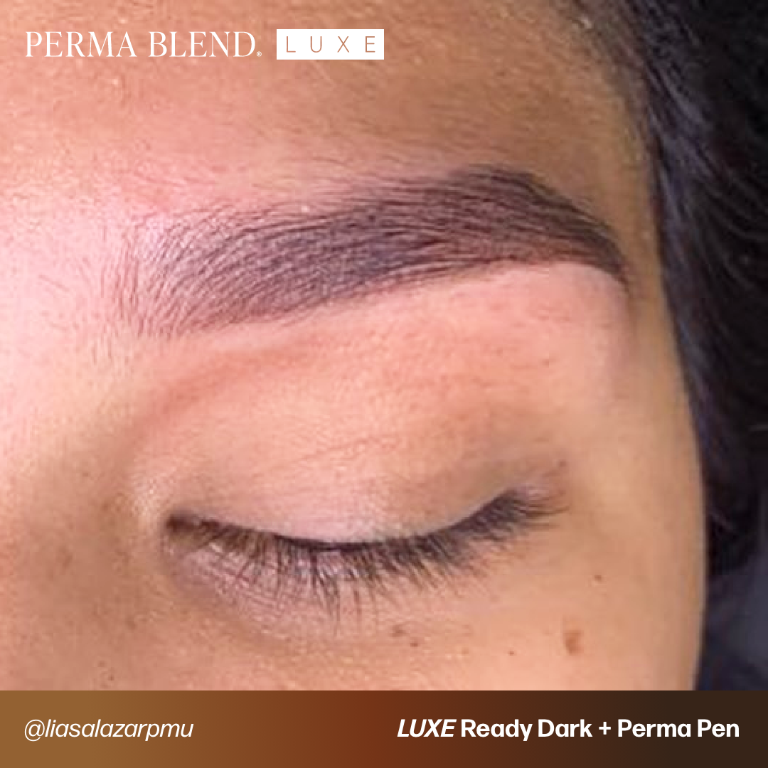 LUXE - Ready Dark | Perma Blend Pigments - Perma Blend