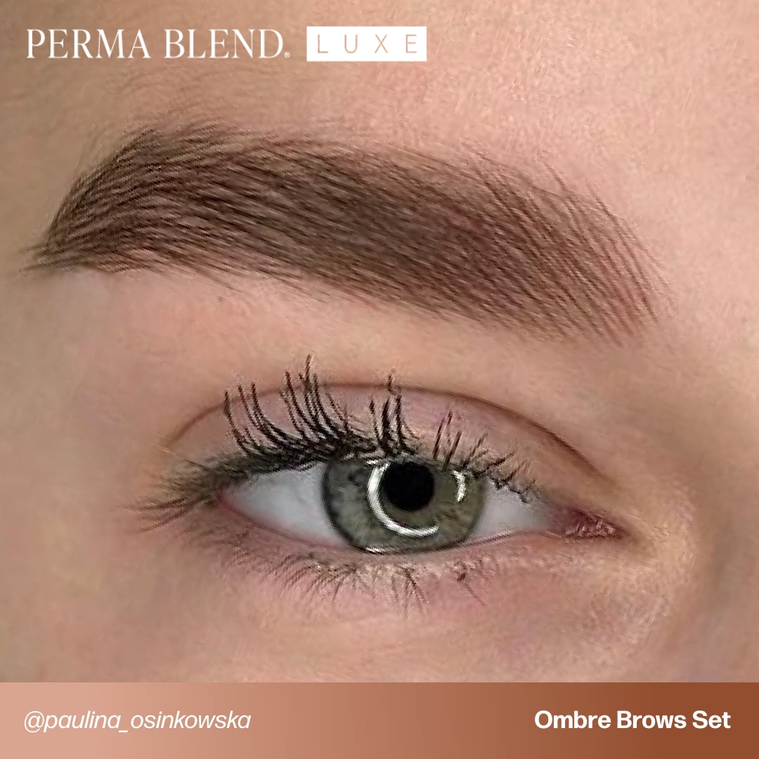 Perma Blend LUXE x Osinkowska Ombre Brows CollectionPerma Blend LUXE x Osinkowska Ombre Brows Collection