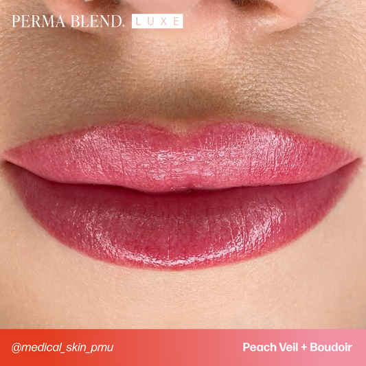 Statement Lip Shades PMU Pigments Perma Blend Perma Blend