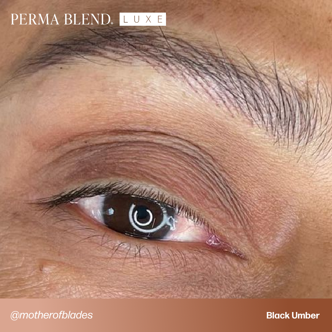 Umber Piments LUXE - Black Umber | Perma Blend Pigments - Perma Blend