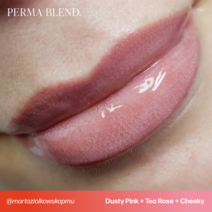 Dusty Pink - Tina Davies Envy Lip