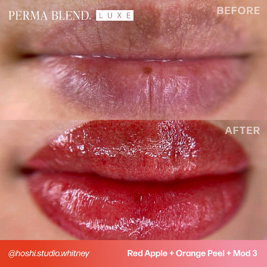 Mod 3 - Carla Ricciardone Embody  Perma Blend