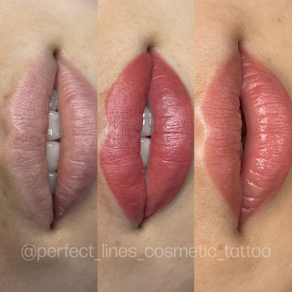 Evenflo Malina | Perma Blend Pigments