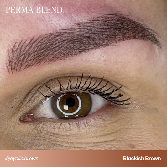 Blackish Brown  Perma Blend