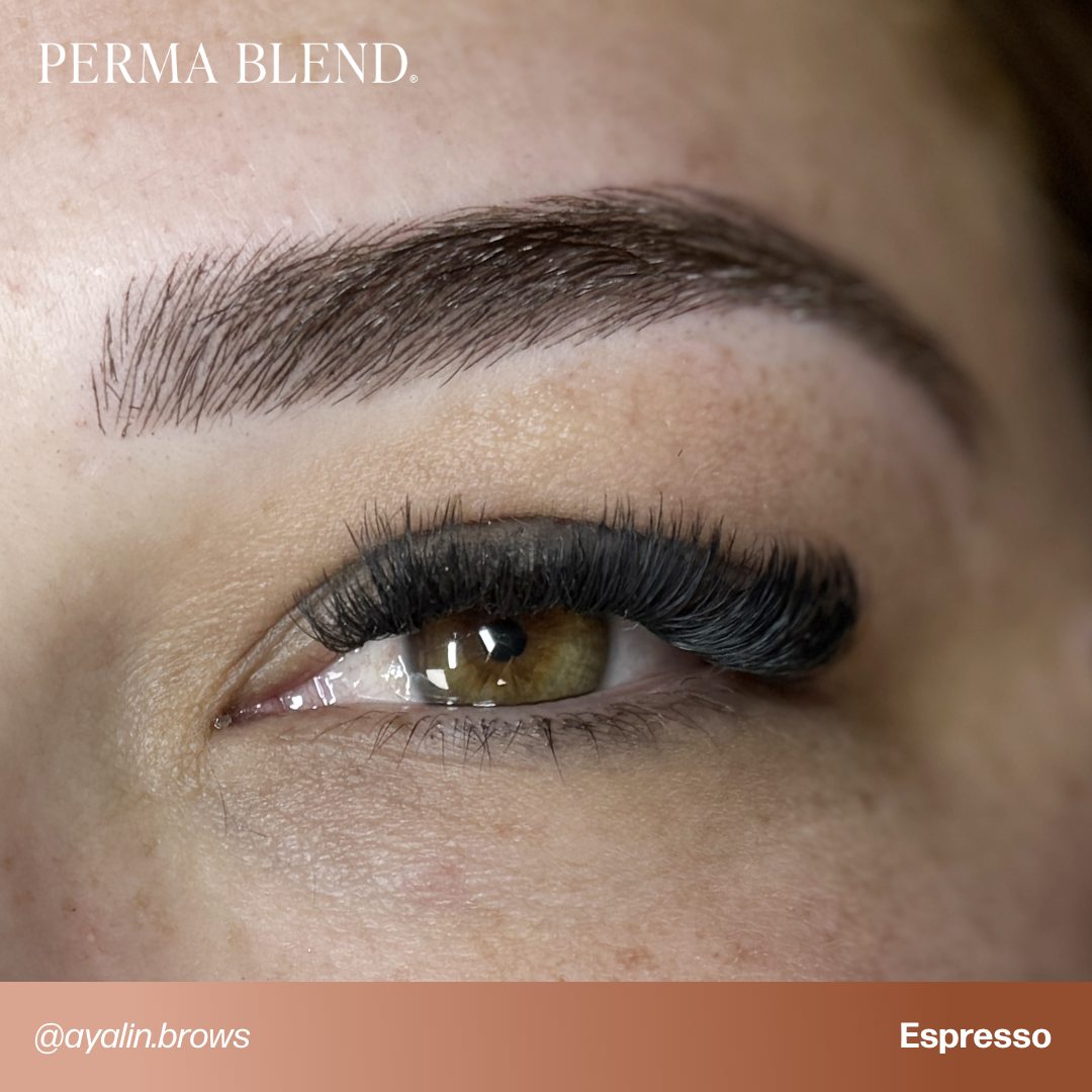 Signature Brow Set - Perma Blend