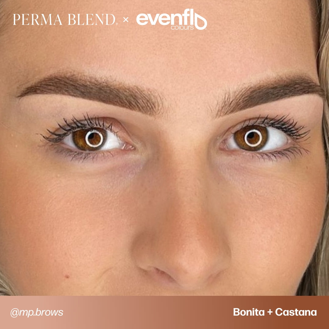 evenflo lux Evenflo Blonde 2 Brunette