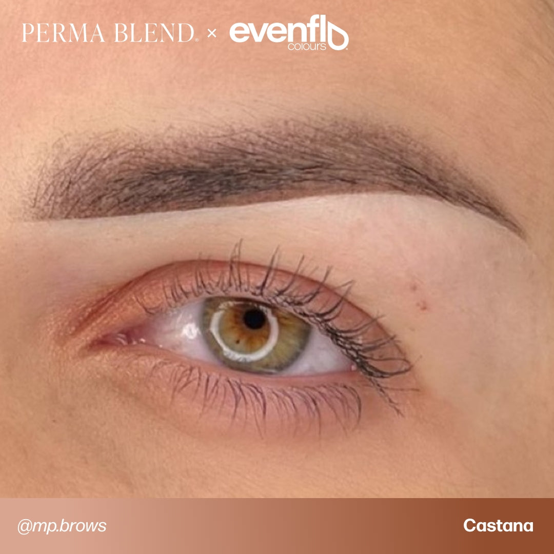 evenflo lux Evenflo Blonde 2 Brunette
