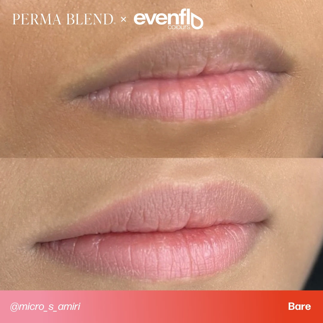 evenflo bare Evenflo Lip