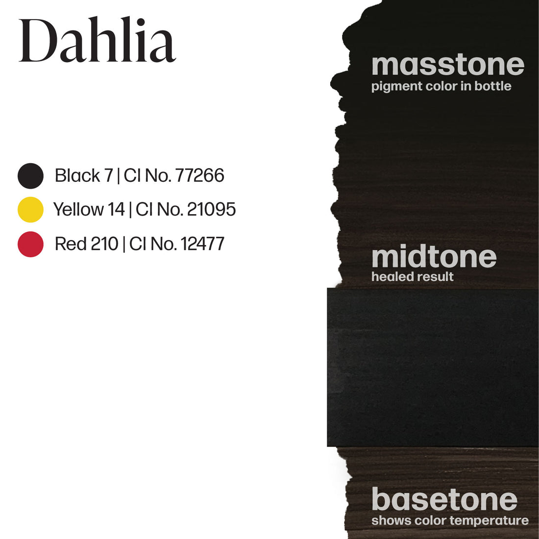 Dahlia - Perma Blend
