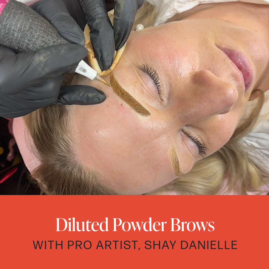 Diluted Powder Brows with Shay Danielle