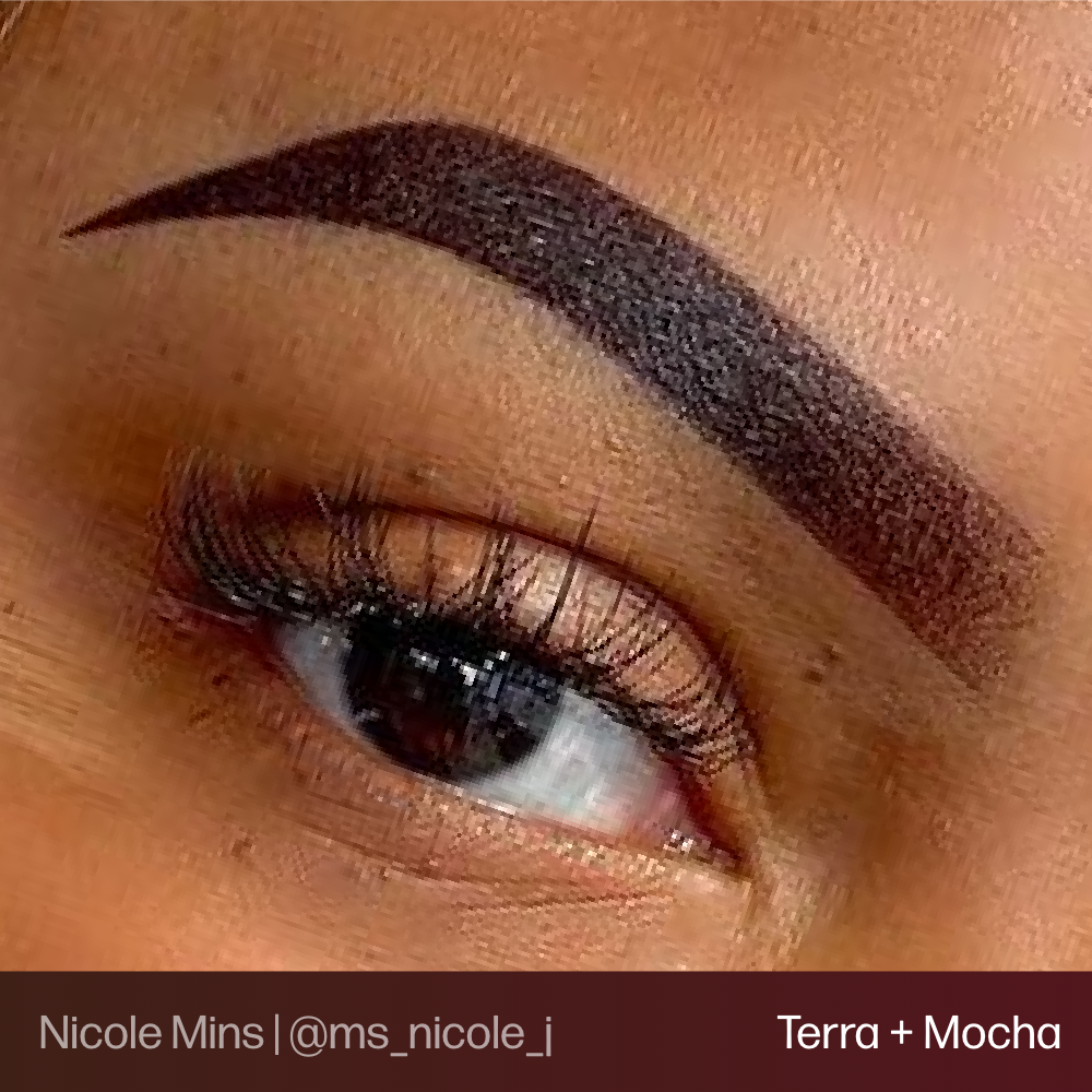Evenflo Mocha