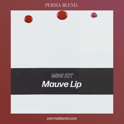 Mauve Lip Mini Set