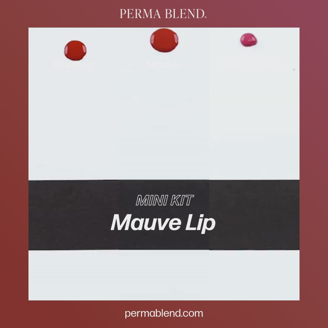 Video Mauve Lip Mini Set