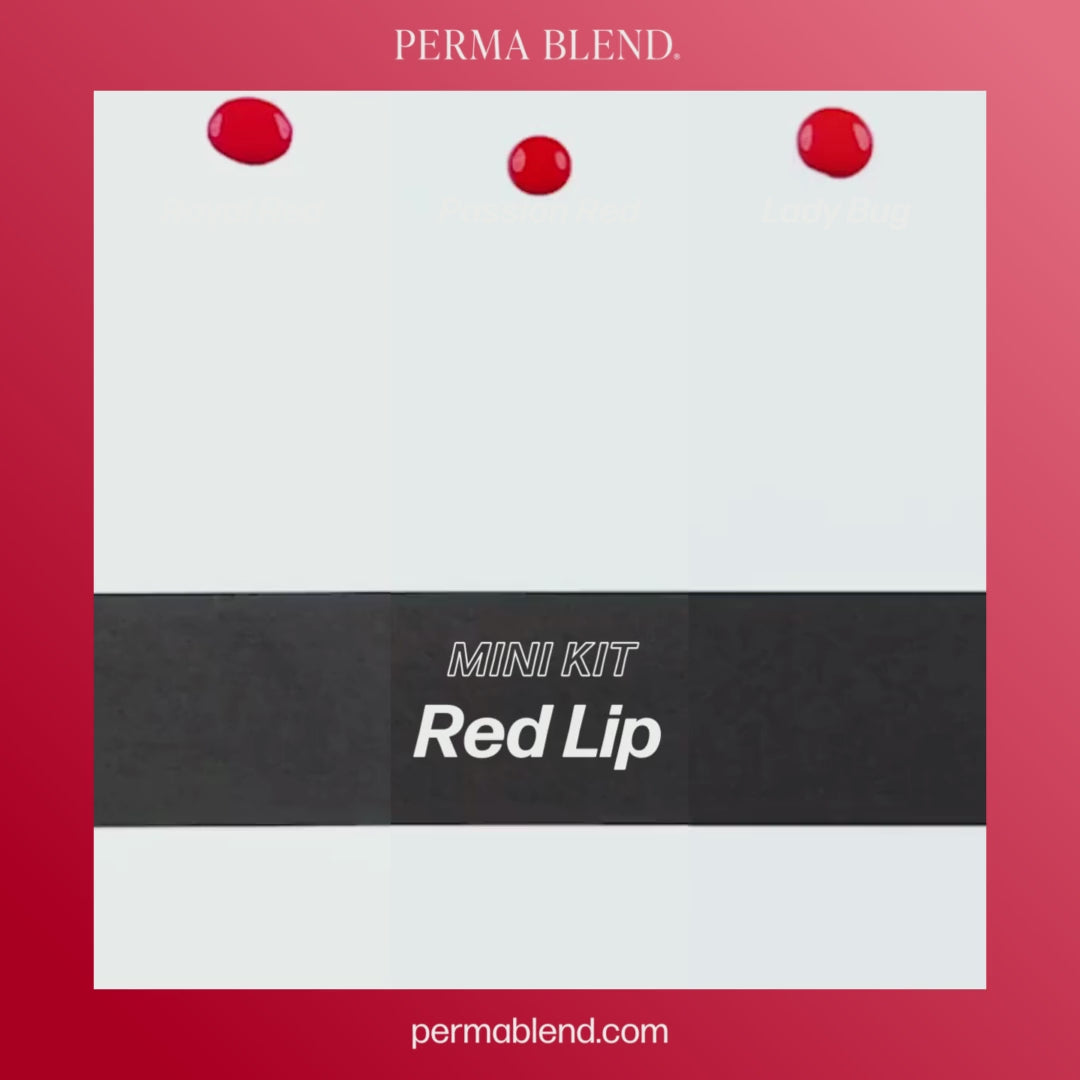 Red Lip Mini Set