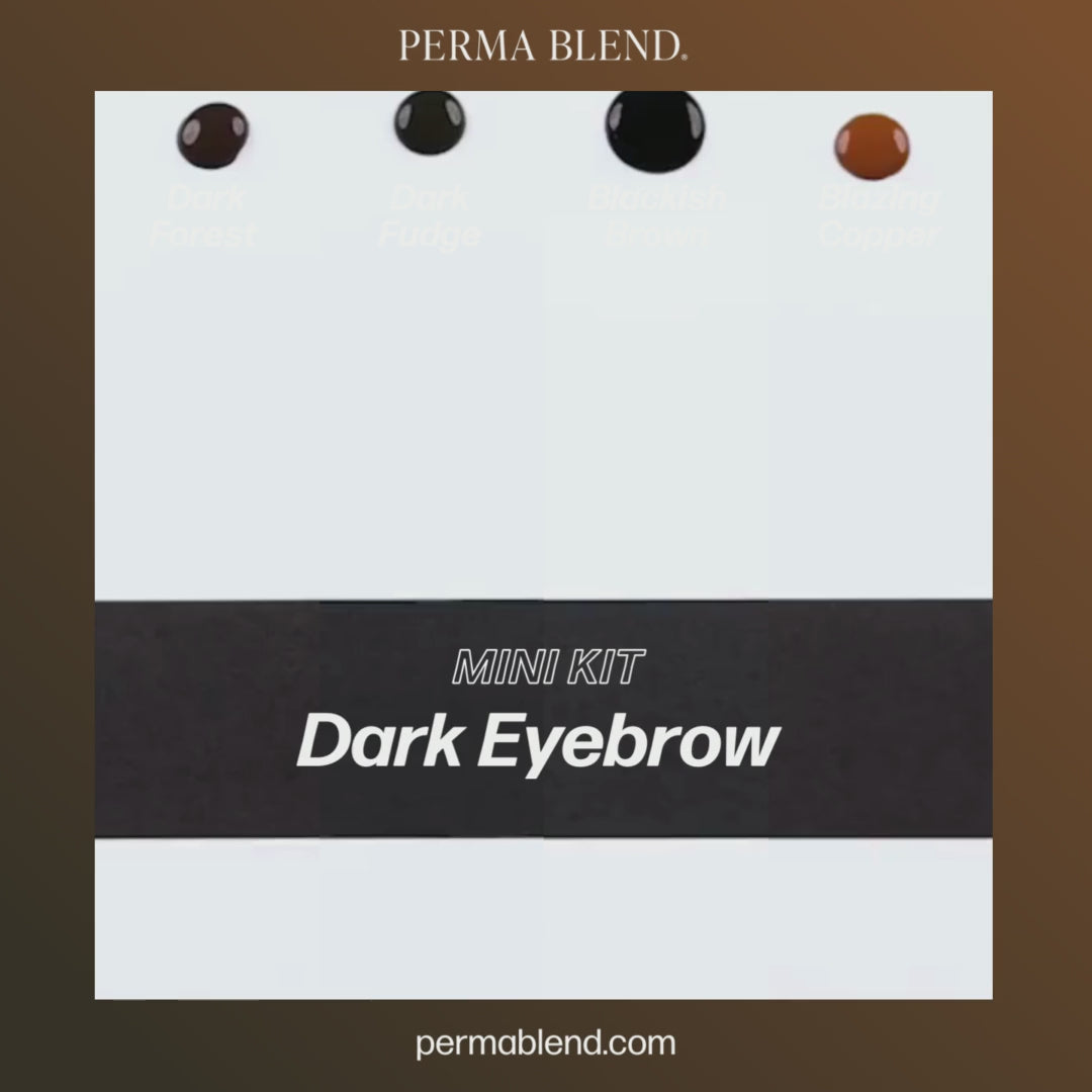 Dark Eyebrow Mini Set | Perma Blend Pigments - Perma Blend