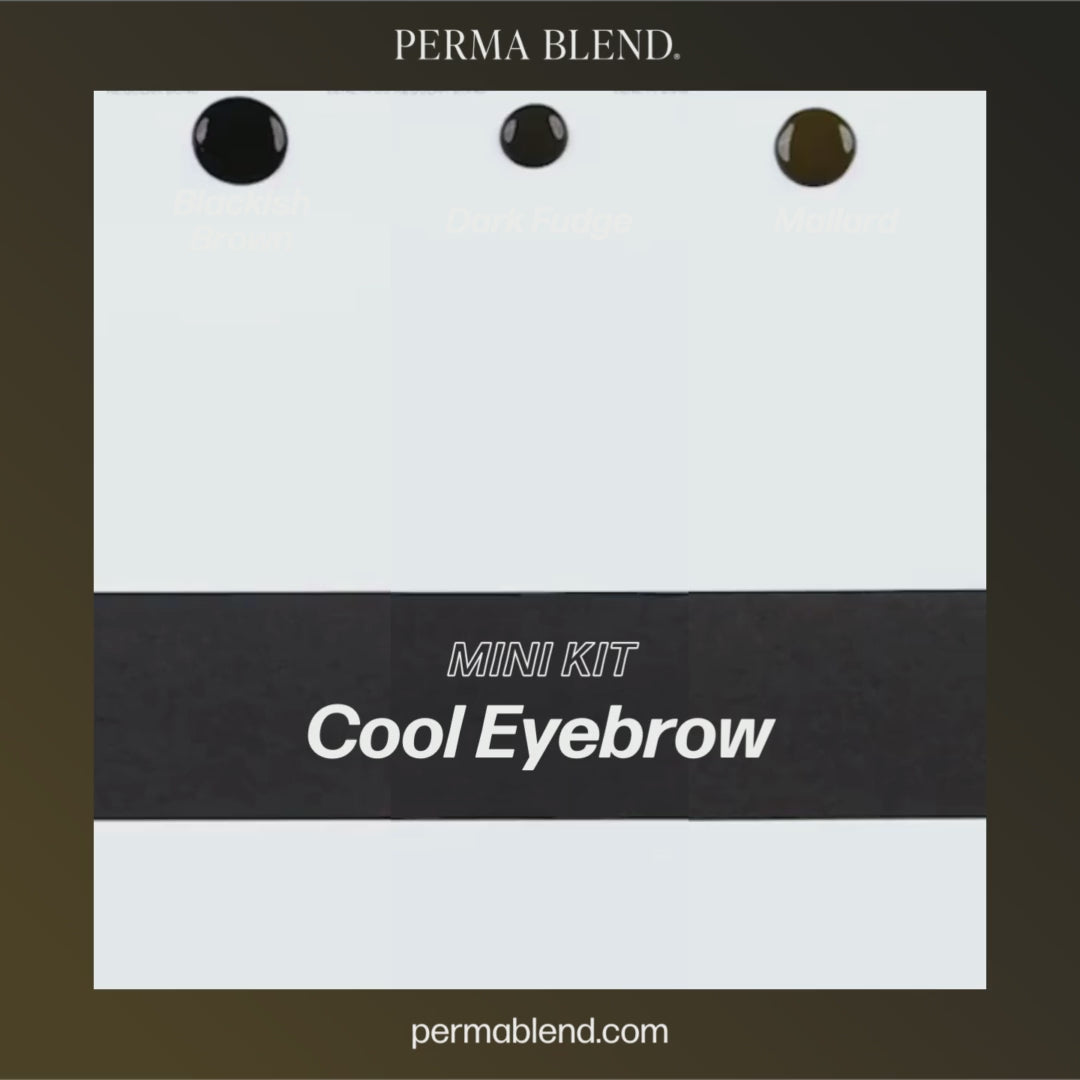 Cool Eyebrow Mini Set
