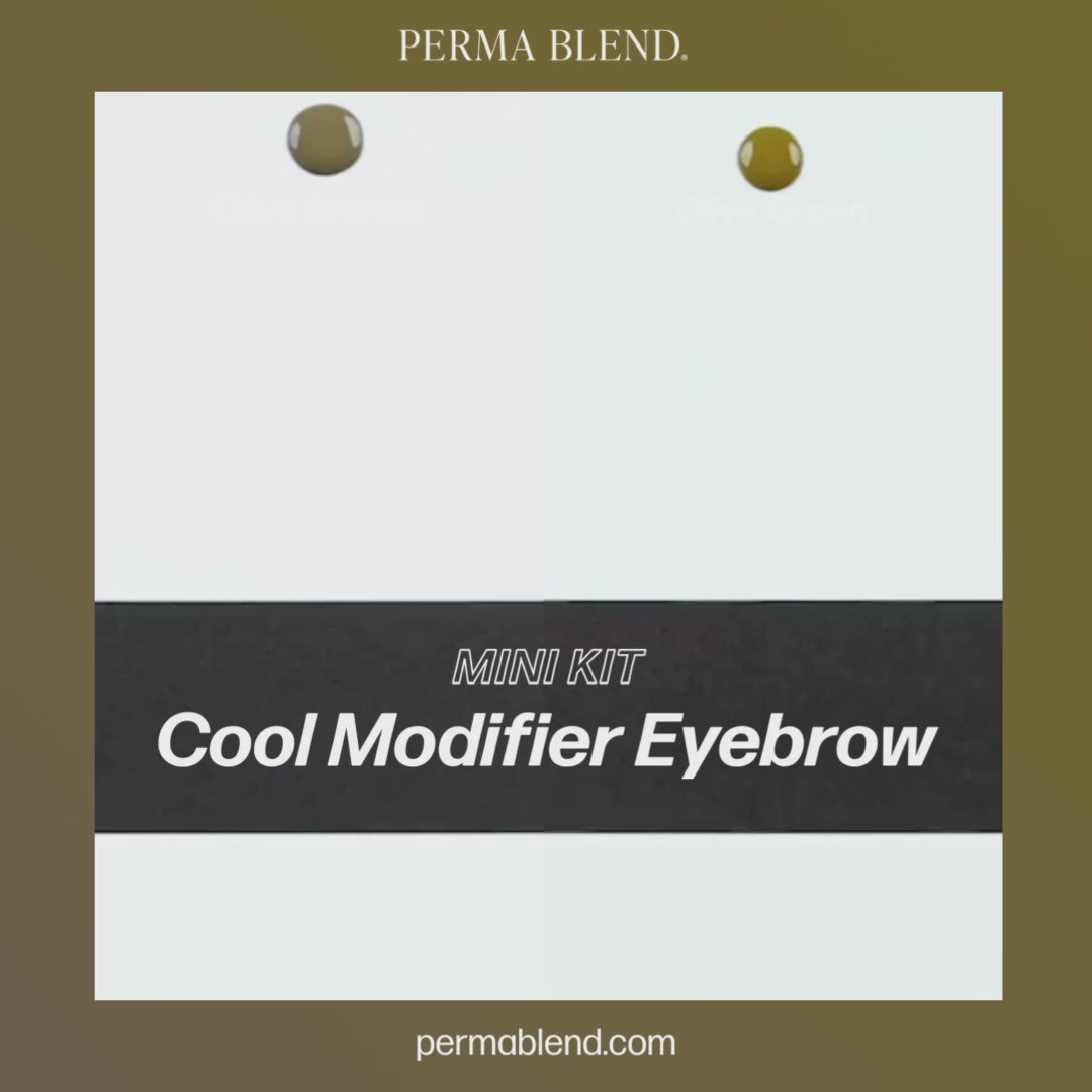 Cool Modifier Eyebrow Mini Set