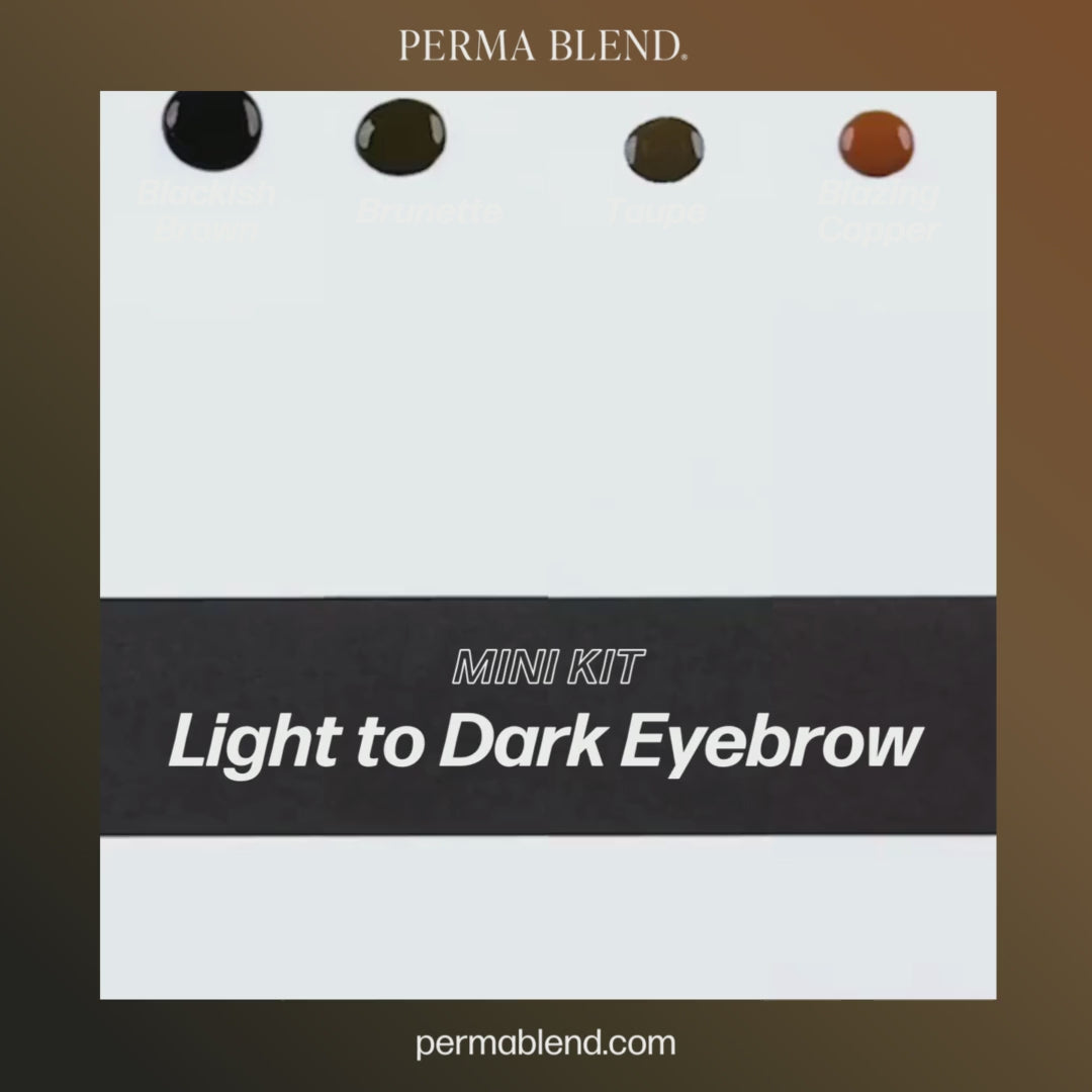 Light to Dark Eyebrow Mini Set
